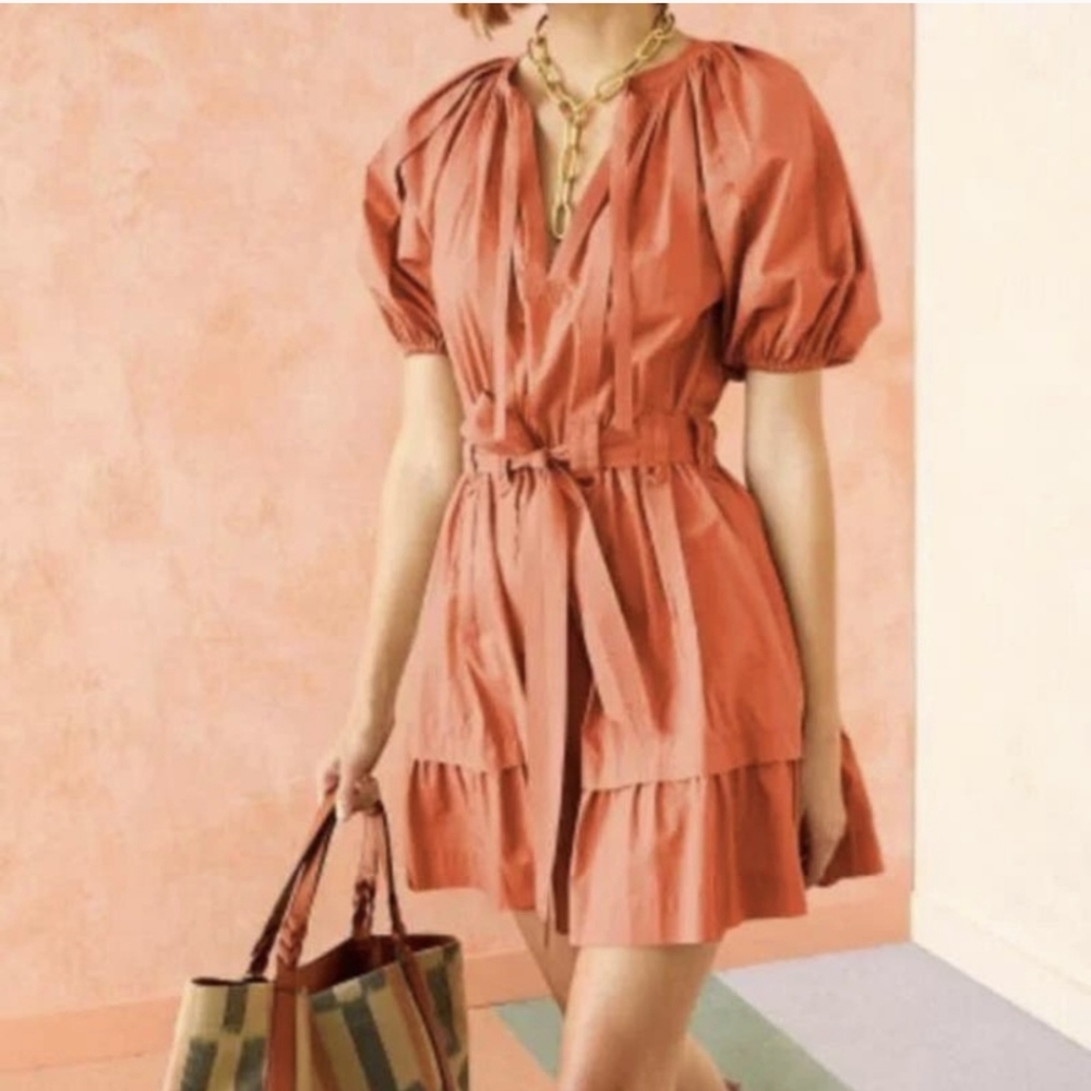 Ulla Johnson Mica Short Sleeve Mini Dress in Aragon Size 6